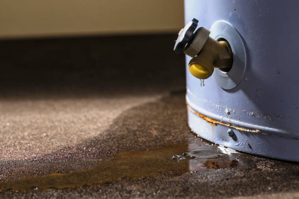 Best Carpet water damage restoration  in Mount Arlington, NJ
