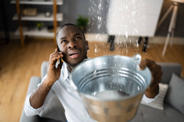 Best 24/7 water damage repair  in Mount Arlington, NJ