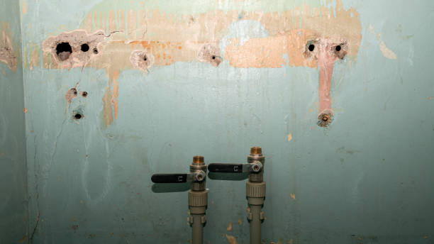 Best Commercial water damage restoration  in Mount Arlington, NJ