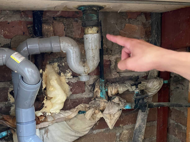 Best Water damage contractors near me  in Mount Arlington, NJ