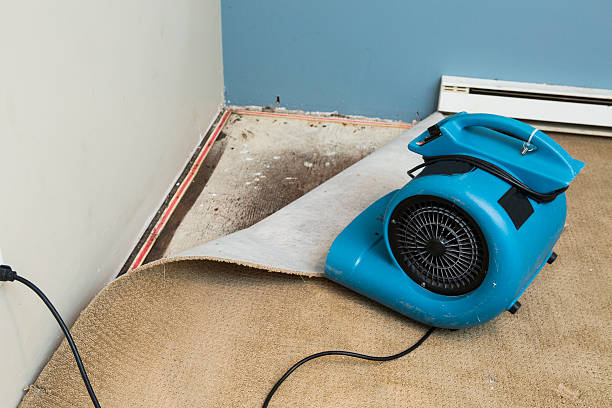 Best Water damage restoration near me  in Mount Arlington, NJ